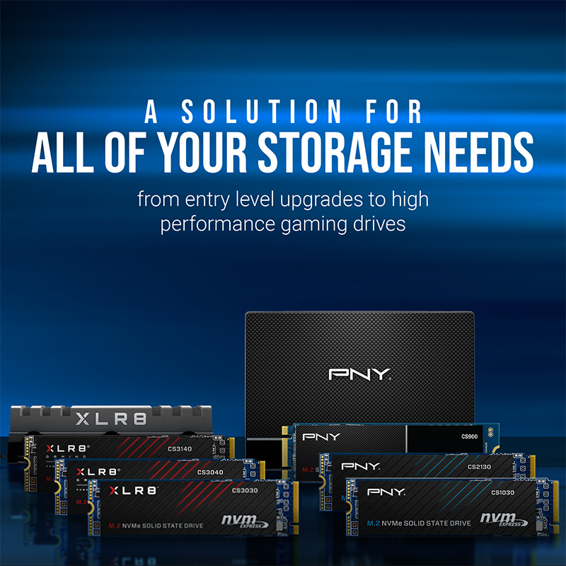 PNY CS900 250GB 535/500MB/s 2,5" SATA3 SSD (SSD7CS900-250-RB)
