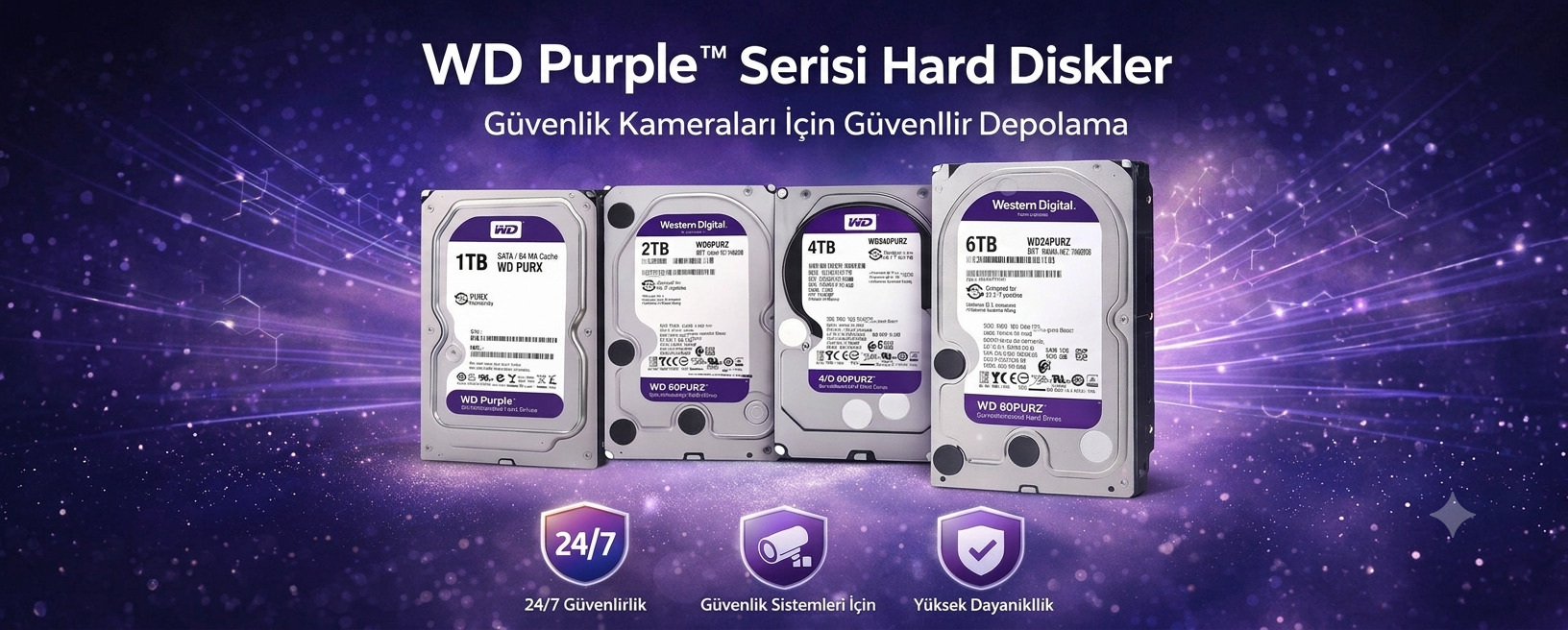Güvenlik Hard Disk Purple